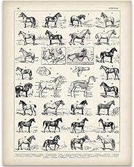 Vintage french horses for sale  Delivered anywhere in USA 