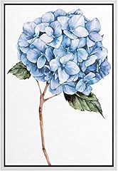 Zenobia framed canvas for sale  Delivered anywhere in USA 