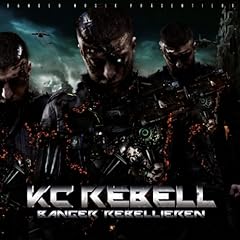 Banger rebellieren gebraucht kaufen  Wird an jeden Ort in Deutschland