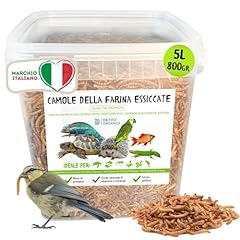 Detox organica camole usato  Spedito ovunque in Italia 