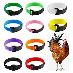 Pcs crow rooster for sale  Delivered anywhere in USA 