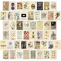 Koskimer 50pcs vintage for sale  Delivered anywhere in USA 