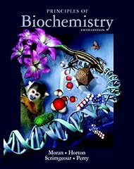 Principles biochemistry for sale  Delivered anywhere in USA 