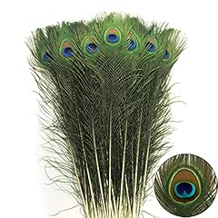 Tharaht 24pcs peacock for sale  Delivered anywhere in USA 