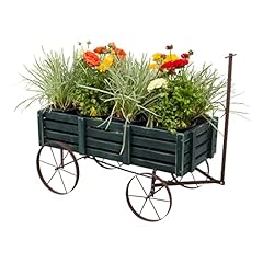 Shine company decorative for sale  Delivered anywhere in USA 