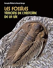 Fossiles témoins histoire d'occasion  Livré partout en Belgiqu
