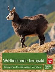 Wildtierkunde kompakt kennzeic gebraucht kaufen  Wird an jeden Ort in Deutschland