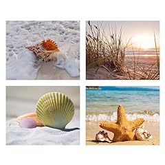 Beach sea shell for sale  Delivered anywhere in USA 