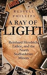 Ray light reinhard for sale  Delivered anywhere in UK