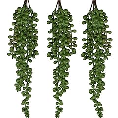Seeko succulents string for sale  Delivered anywhere in USA 