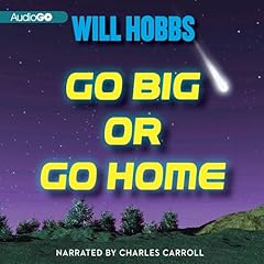 Big home novel for sale  Delivered anywhere in USA 