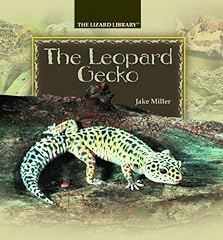 The leopard gecko d'occasion  Livré partout en Belgiqu