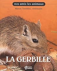 Gerbille d'occasion  Livré partout en Belgiqu