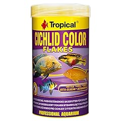 Tropical cichlid color usato  Spedito ovunque in Italia 