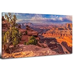 Grand canyon wall for sale  Delivered anywhere in USA 