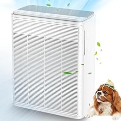 Aiuzlk air purifiers for sale  Delivered anywhere in USA 