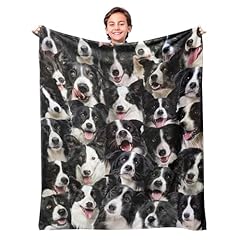 Wifillet border collie for sale  Delivered anywhere in USA 