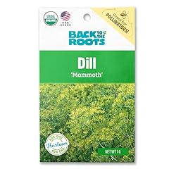Seed packet dill for sale  Delivered anywhere in USA 