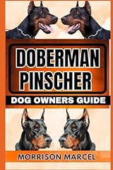 Doberman pinscher dog for sale  Delivered anywhere in UK