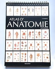 Atlas anatomie 24 d'occasion  Livré partout en France