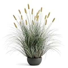 Florafairy 3ft onion for sale  Delivered anywhere in USA 