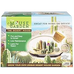 Mini office cactus for sale  Delivered anywhere in USA 