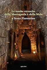 Tombe etrusche della usato  Spedito ovunque in Italia 