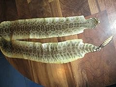 Rattlesnake skin prairie for sale  Delivered anywhere in USA 