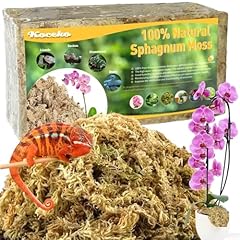 200g sphagnum moos gebraucht kaufen  Wird an jeden Ort in Deutschland