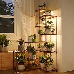 Bamworld corner plant for sale  Delivered anywhere in USA 