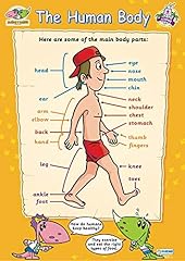 Human body early for sale  Delivered anywhere in UK