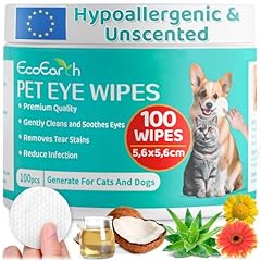 chaton yeux vairons d'occasion  Livré partout en France