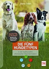 Hundetypen traditionellen chin gebraucht kaufen  Wird an jeden Ort in Deutschland