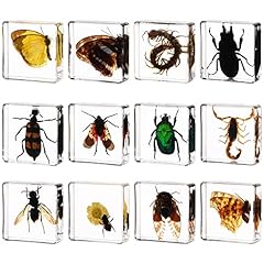 Real insect resin for sale  Delivered anywhere in USA 