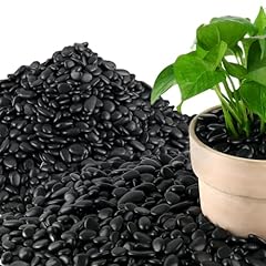 45lb polished black for sale  Delivered anywhere in USA 