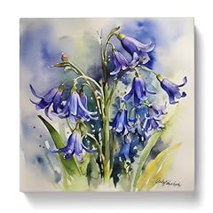 Bluebell watercolour canvas for sale  Delivered anywhere in UK