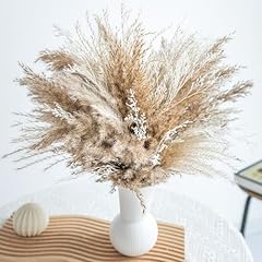 Pampas grass decor for sale  Delivered anywhere in USA 