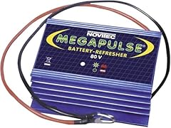 Rigeneratore per batterie usato  Spedito ovunque in Italia 