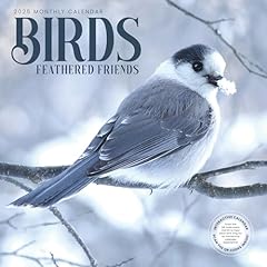 Bird wall calendar for sale  Delivered anywhere in USA 