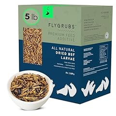 Flygrubs dried black for sale  Delivered anywhere in USA 