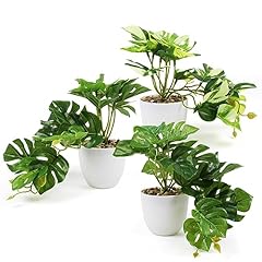 Insanyj fausse plante d'occasion  Livré partout en France