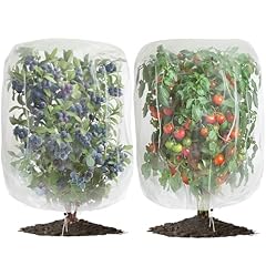 Pcs large fruits for sale  Delivered anywhere in USA 