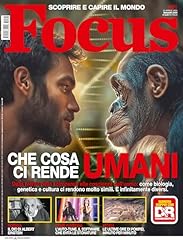 Focus 2025 usato  Spedito ovunque in Italia 