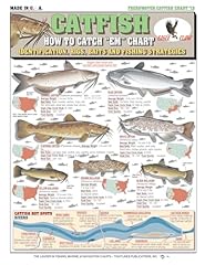 Catch catfish identification for sale  Delivered anywhere in USA 