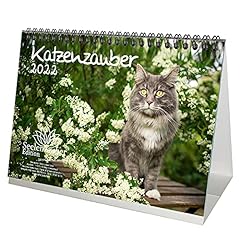 Katzenzauber din tischkalender gebraucht kaufen  Wird an jeden Ort in Deutschland