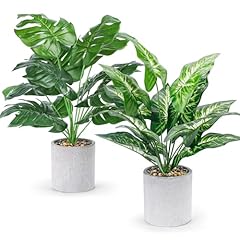 Wukoku 2pcs fake for sale  Delivered anywhere in USA 
