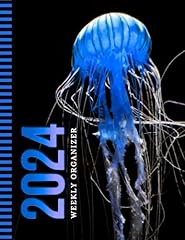 2024 weekly organizer d'occasion  Livré partout en France