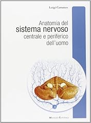 Anatomia del sistema usato  Spedito ovunque in Italia 