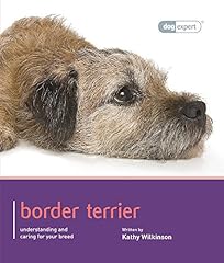 Border terrier dog for sale  Delivered anywhere in UK