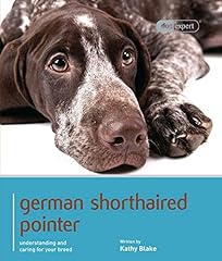 German shorthaired pointer for sale  Delivered anywhere in UK